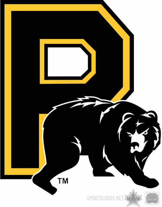 Providence Bruins 2008 09 Alternate Logo vinyl decal